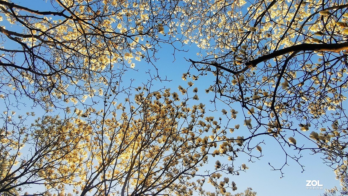 春归