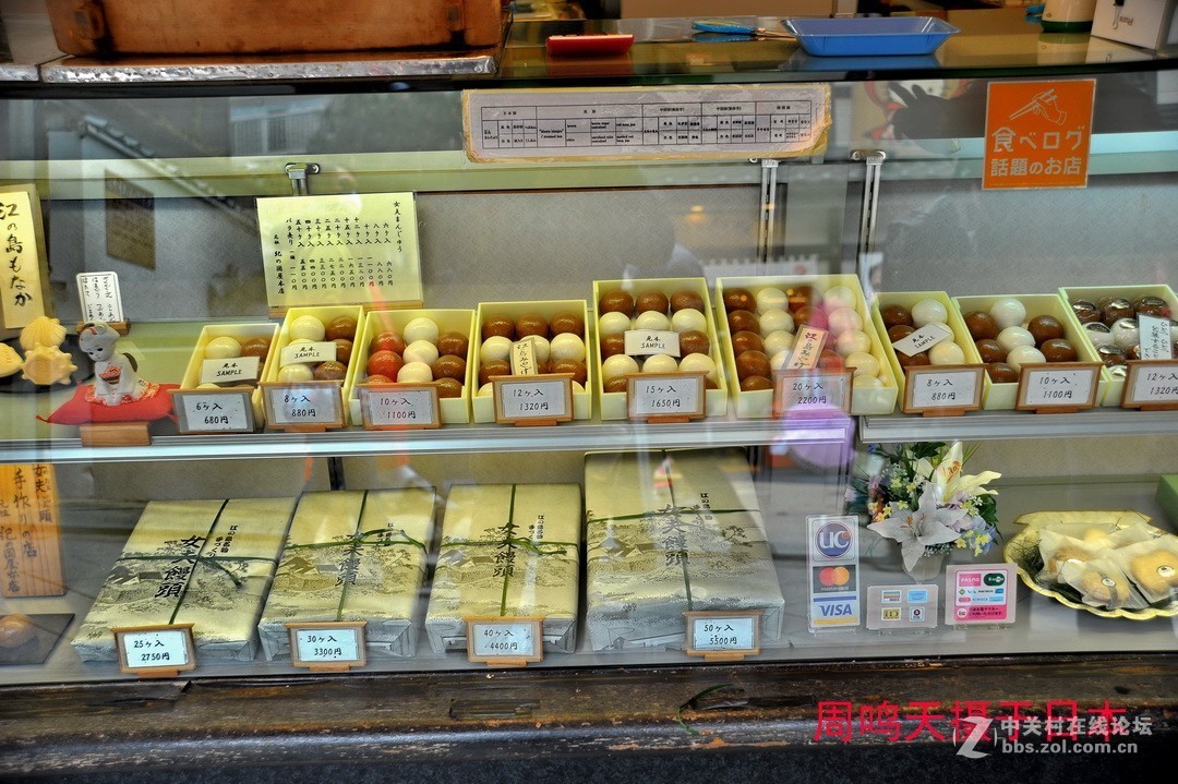 樱花季江之岛摄影游记  周鸣天