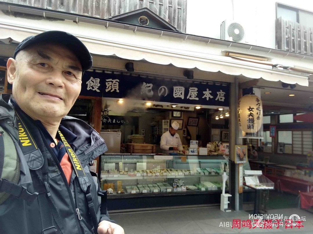 樱花季江之岛摄影游记  周鸣天