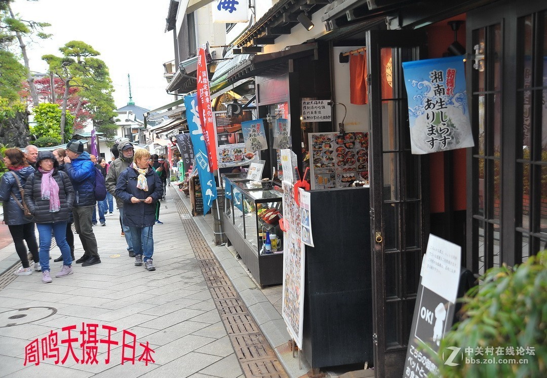 樱花季江之岛摄影游记  周鸣天