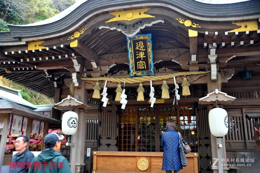 樱花季江之岛摄影游记  周鸣天