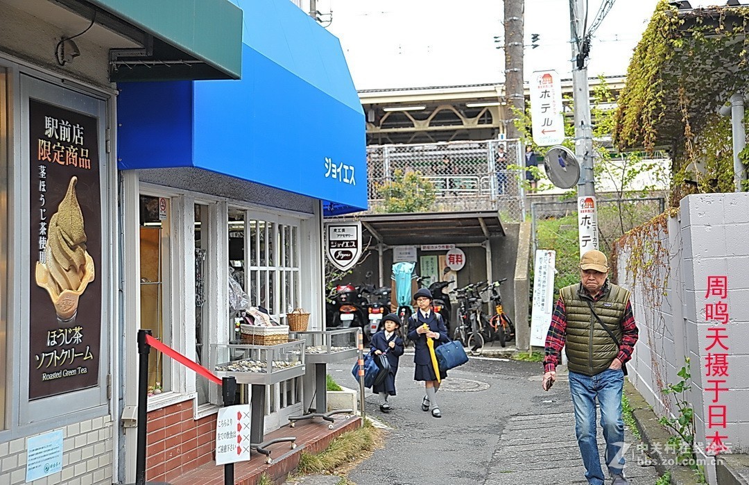 樱花季江之岛摄影游记  周鸣天