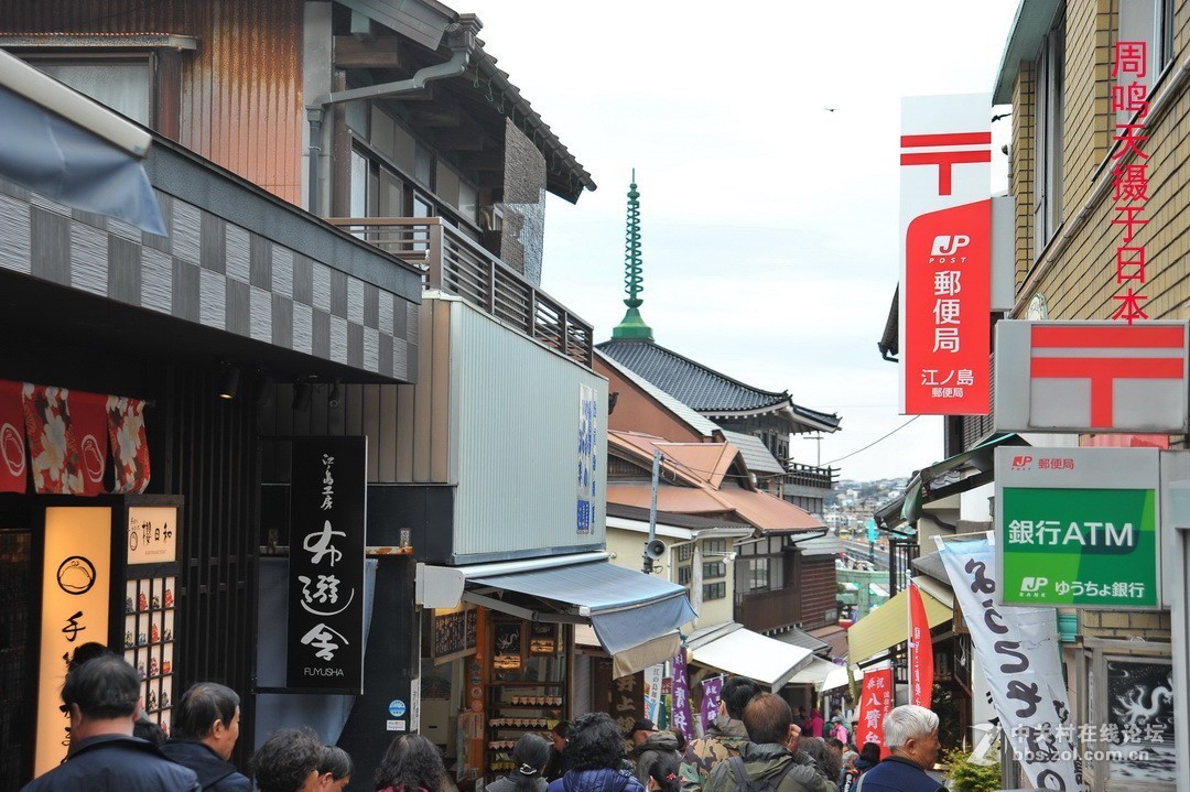 樱花季江之岛摄影游记  周鸣天