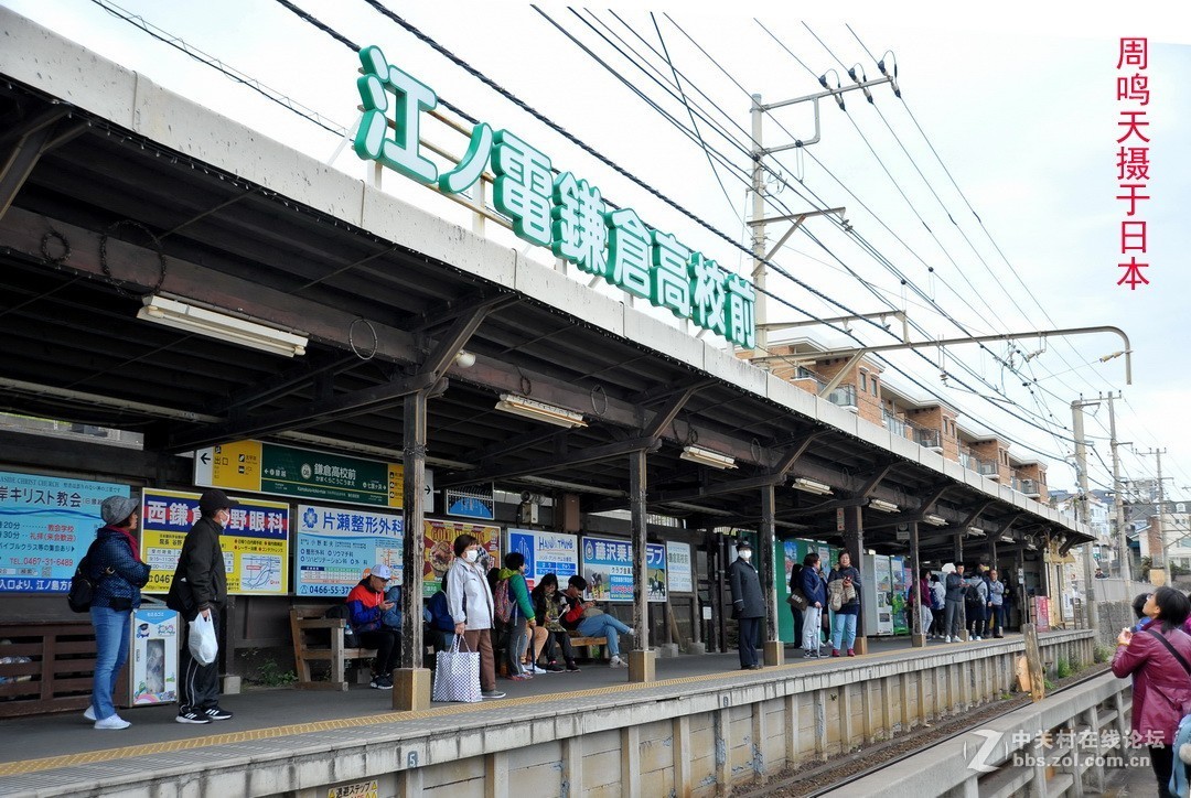 樱花季江之岛摄影游记  周鸣天