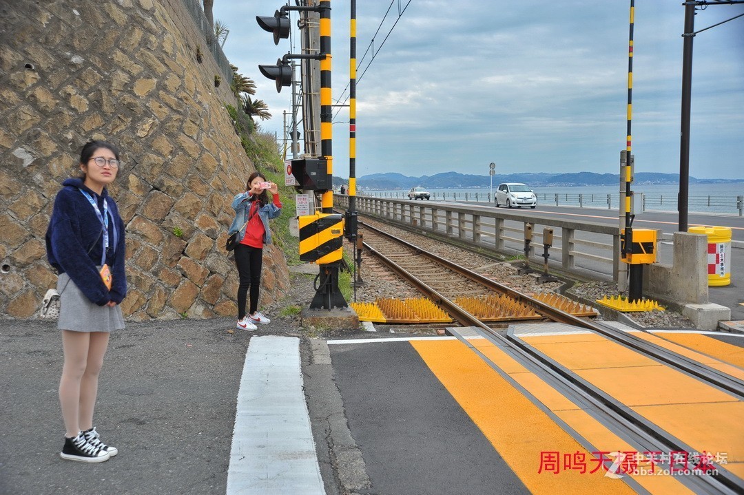 樱花季江之岛摄影游记  周鸣天