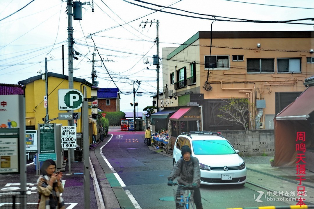 樱花季江之岛摄影游记  周鸣天