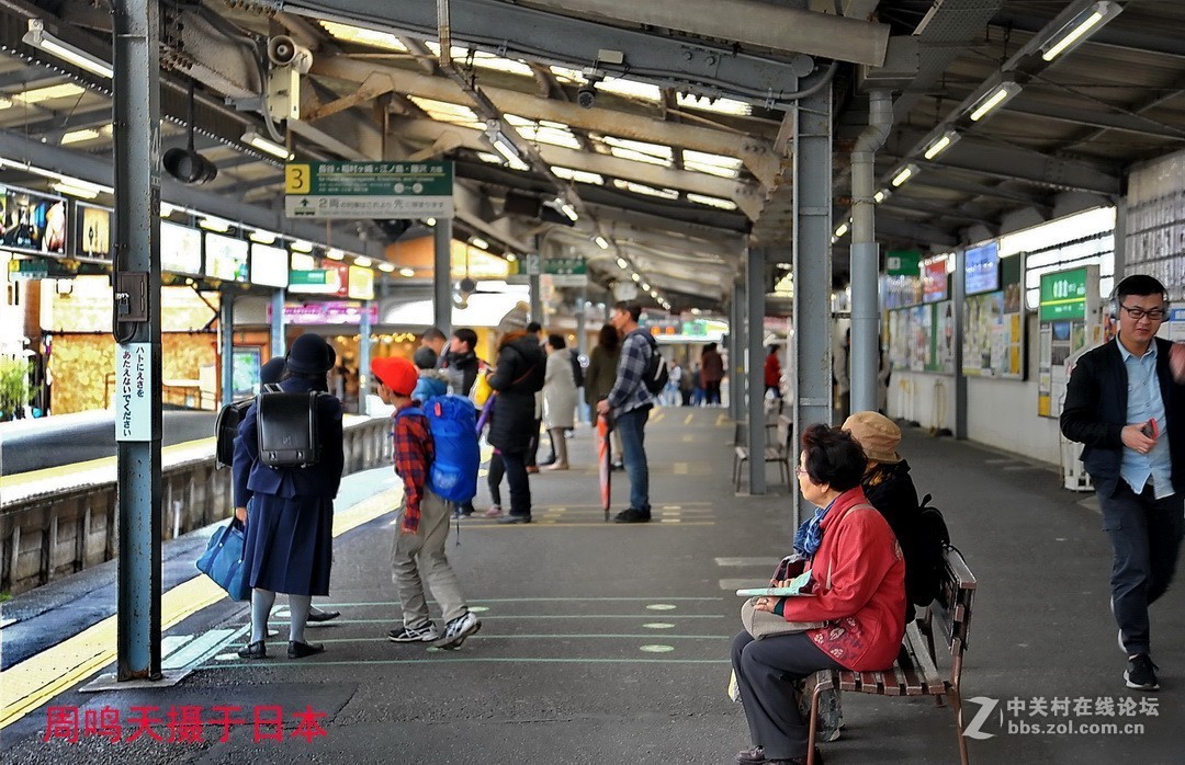 樱花季江之岛摄影游记  周鸣天