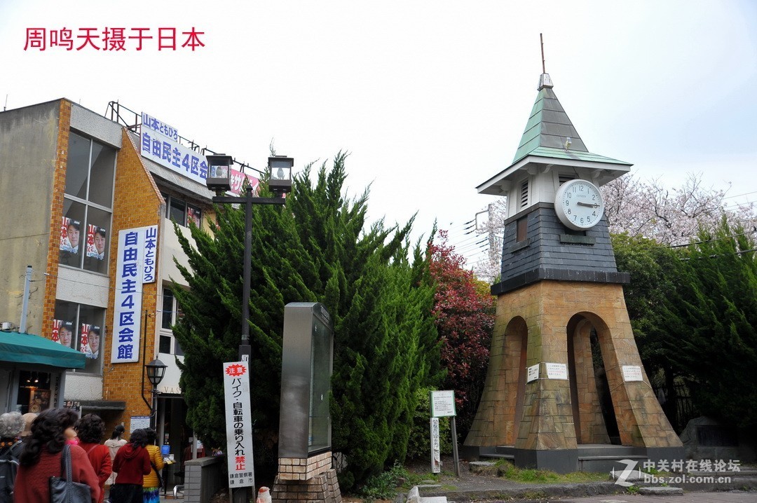 樱花季江之岛摄影游记  周鸣天