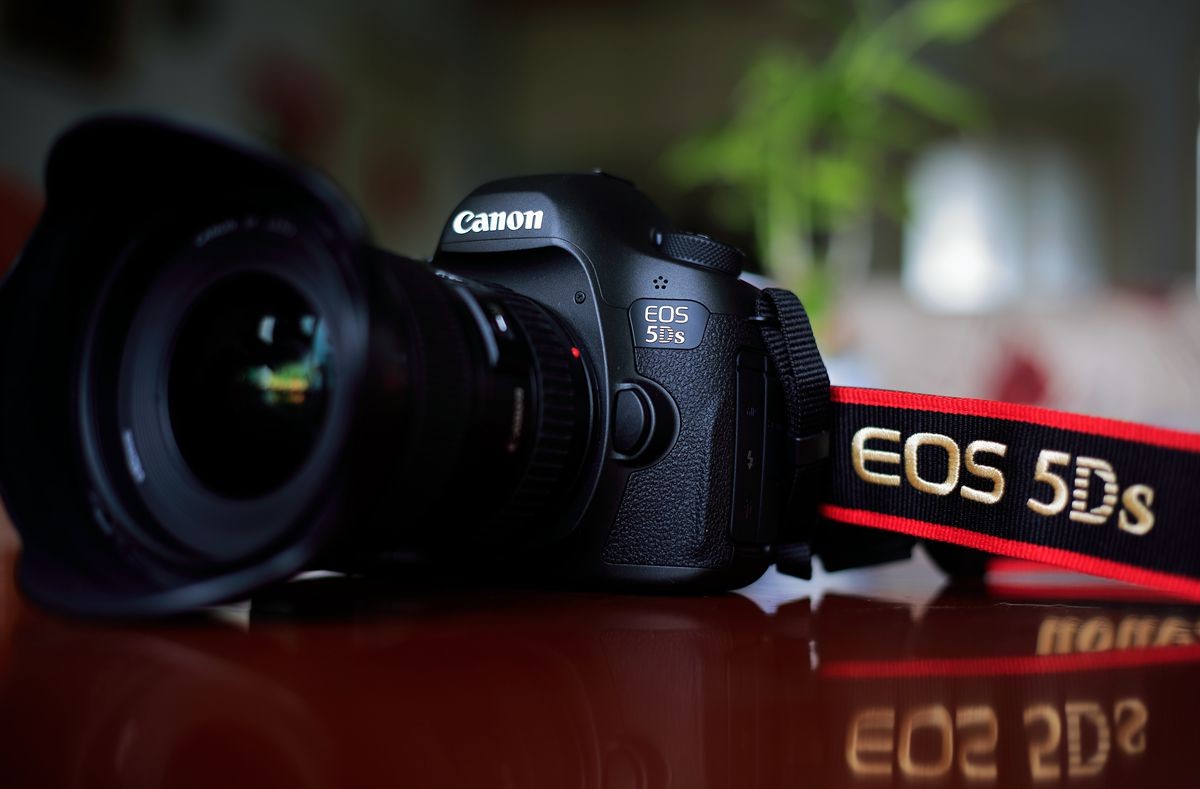 EOS 5Ds 试机贴