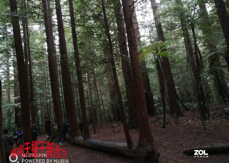 新西兰爱歌顿农庄摄影游记   周鸣天