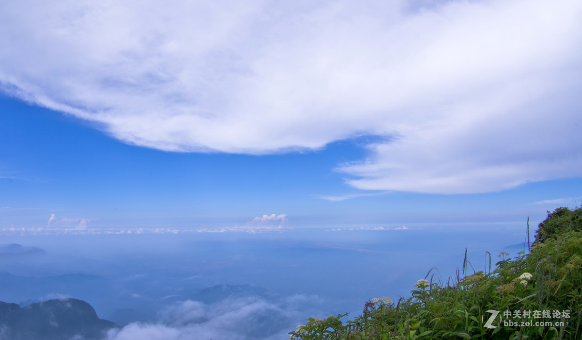峨眉山小景_K5_[7P]_怪鸭007