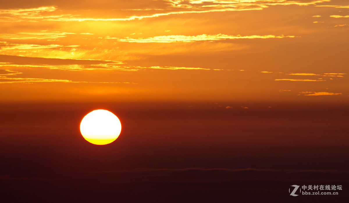 峨眉山小景_K5_[7P]_怪鸭007