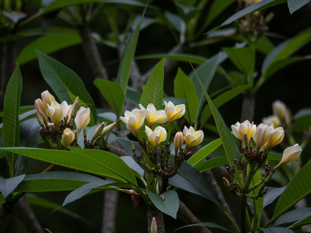 早起的人碰上早起的鸟