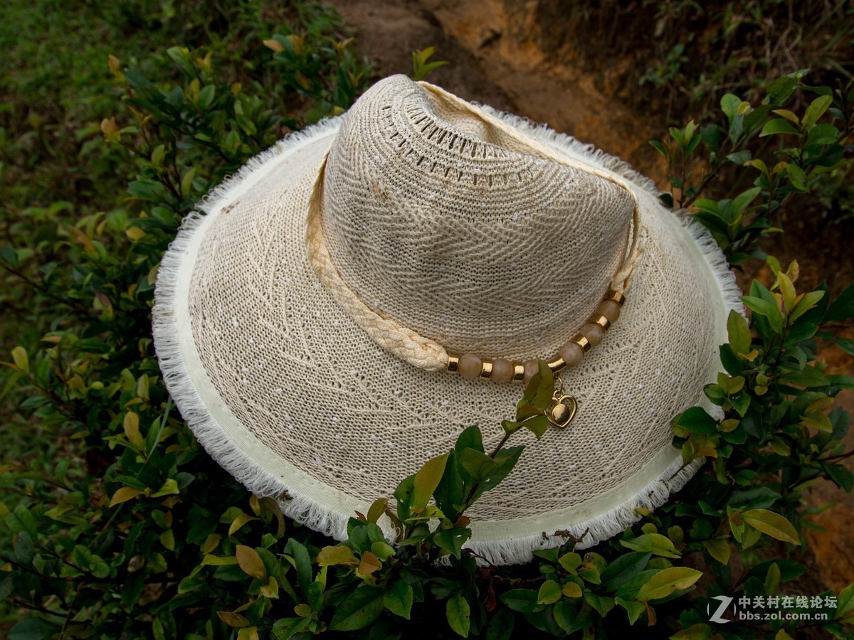 广东阳江阳春鸡笼顶森林公园登山2019501-2