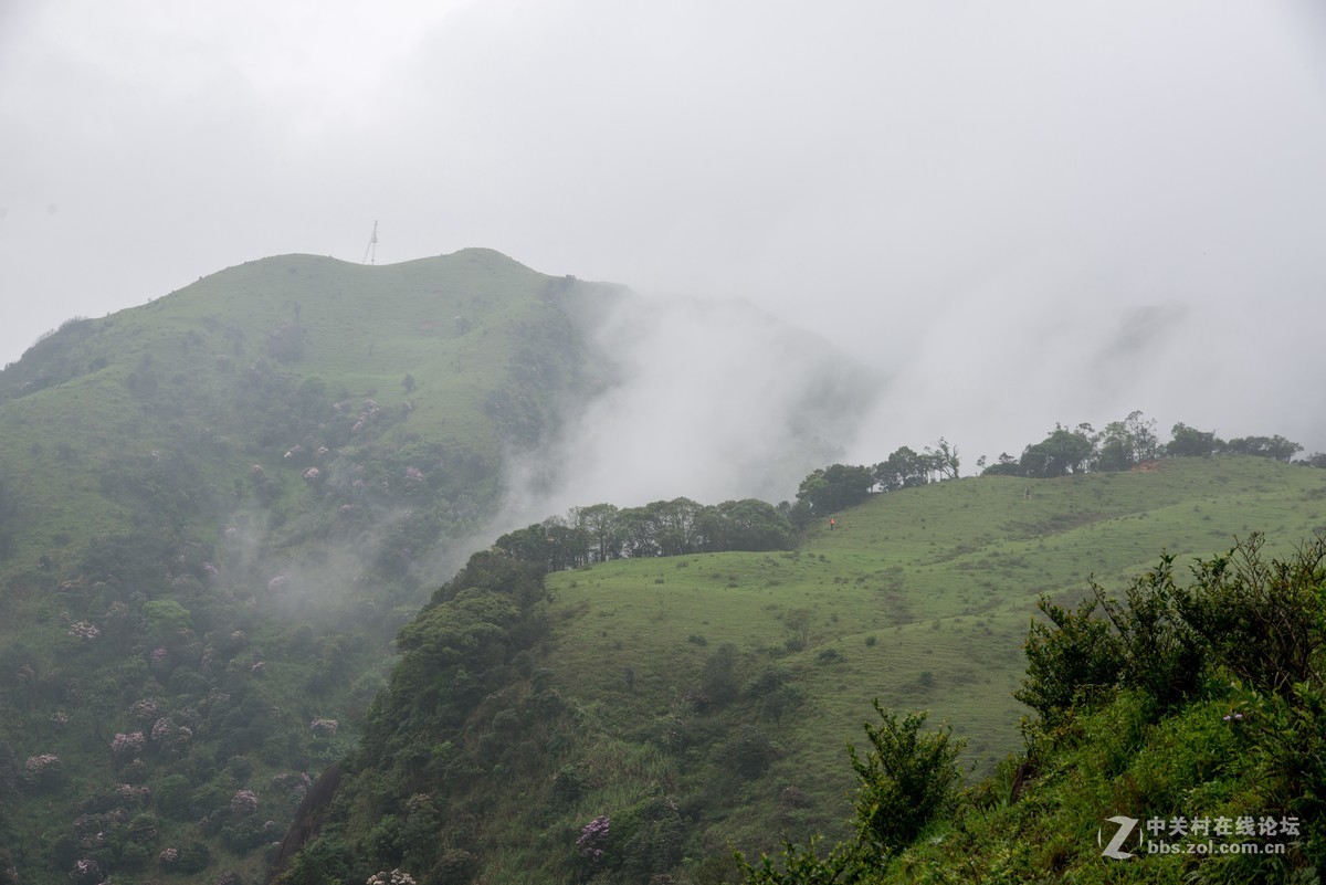 广东阳江阳春鸡笼顶森林公园登山2019501-2