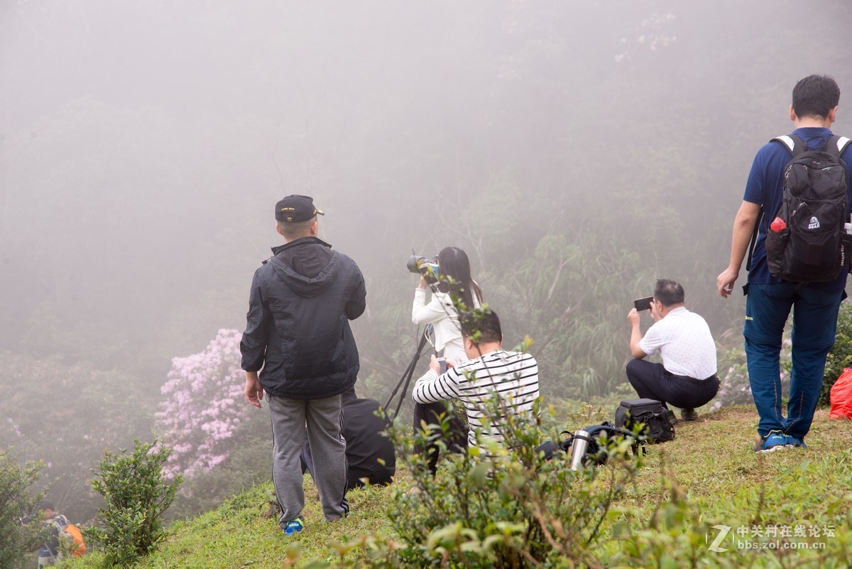 广东阳江阳春鸡笼顶森林公园登山2019501-2