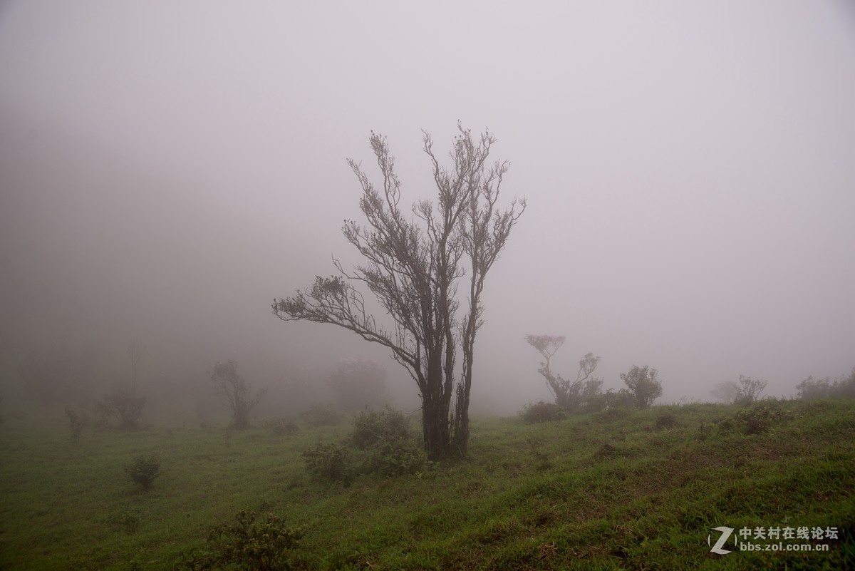 广东阳江阳春鸡笼顶森林公园登山2019501-2