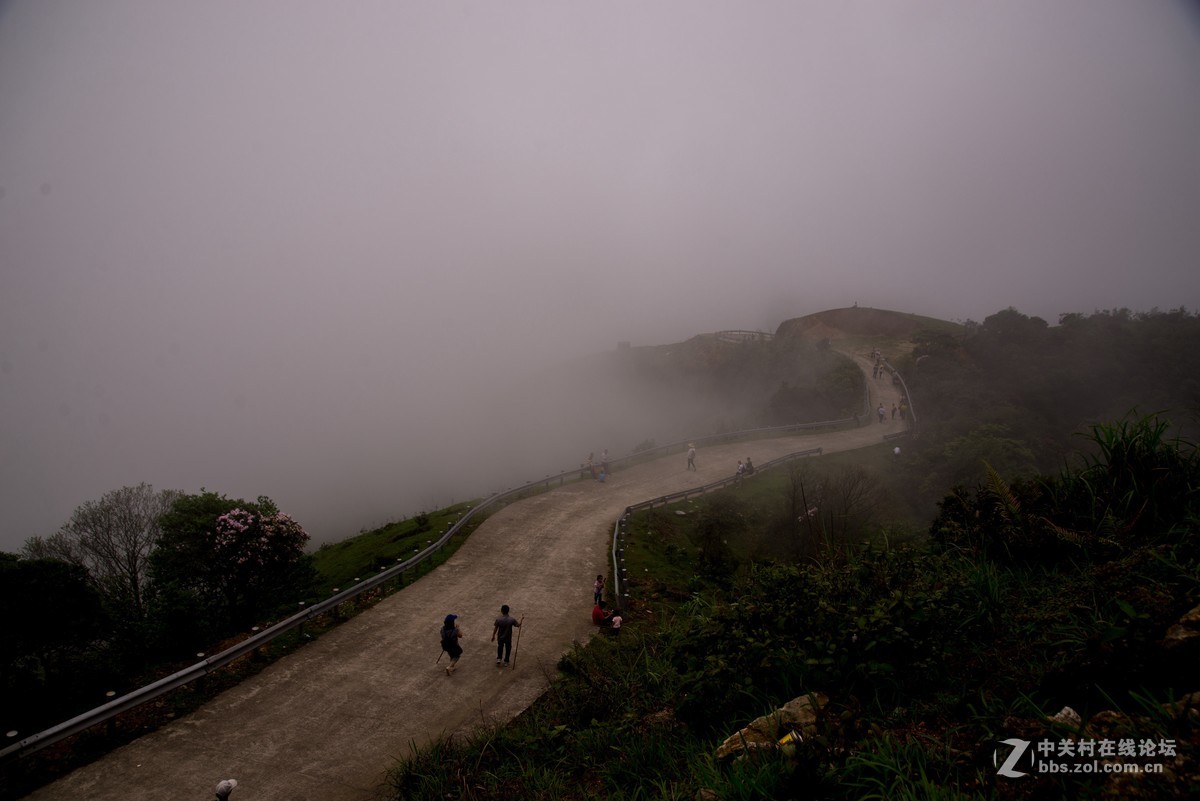 广东阳江阳春鸡笼顶森林公园登山2019501-2