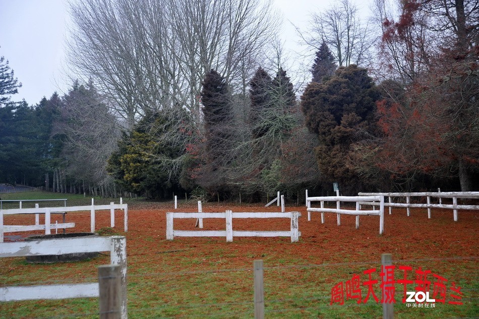 新西兰爱歌顿农庄摄影游记   周鸣天