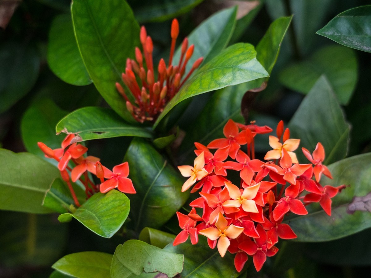 早起的人碰上早起的鸟