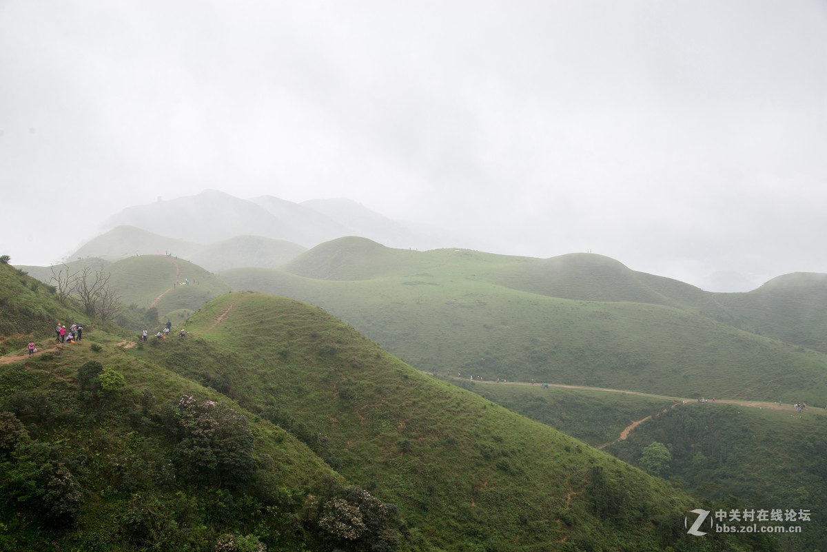 广东阳江阳春鸡笼顶森林公园登山2019501-2