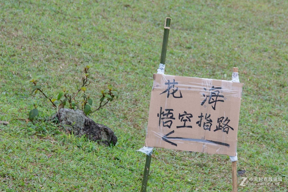 广东阳江阳春鸡笼顶森林公园登山2019501-2