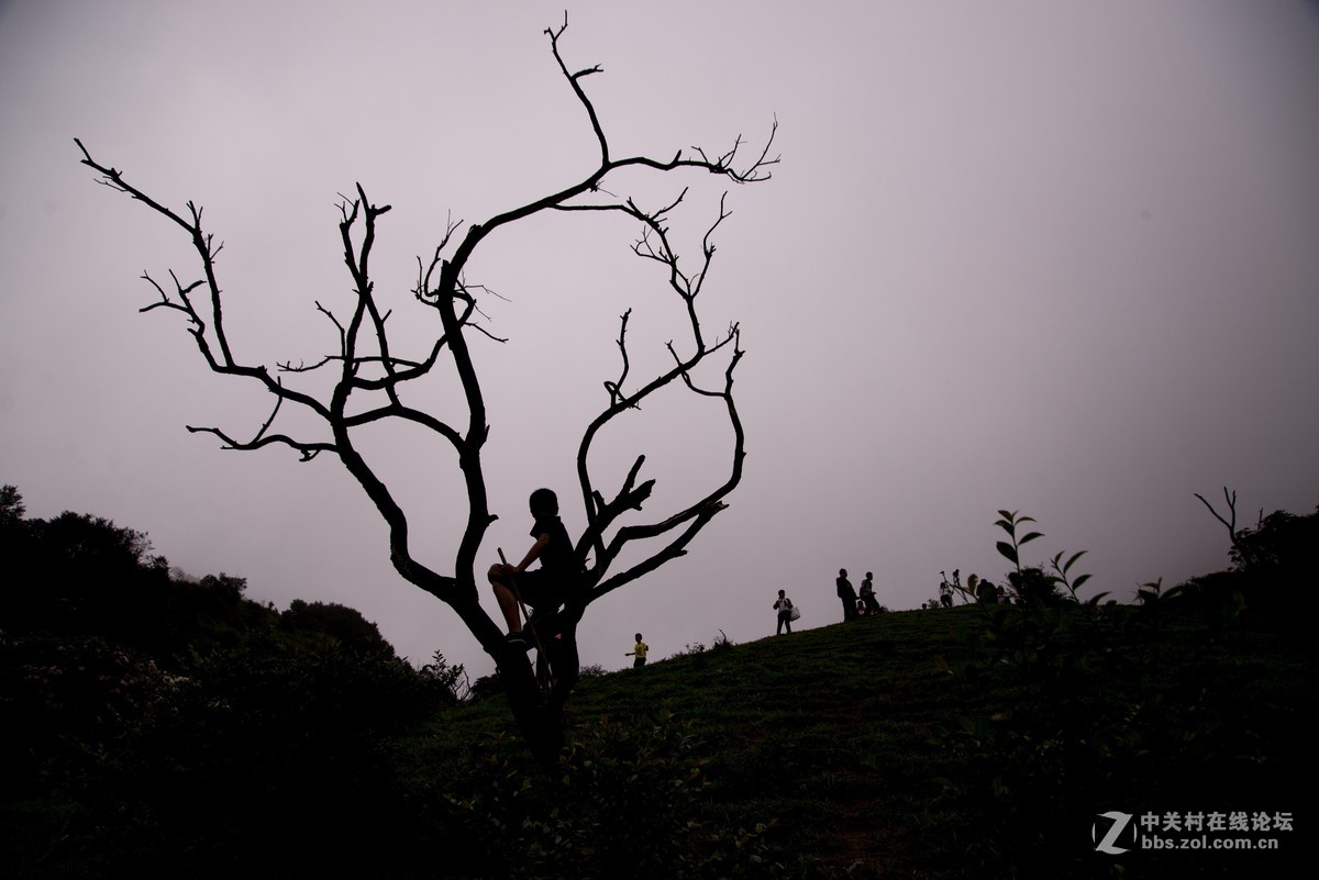 广东阳江阳春鸡笼顶森林公园登山2019501-2