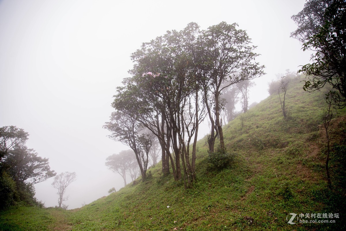 广东阳江阳春鸡笼顶森林公园登山2019501-2