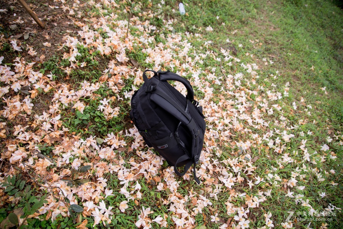 广东阳江阳春鸡笼顶森林公园登山2019501-2