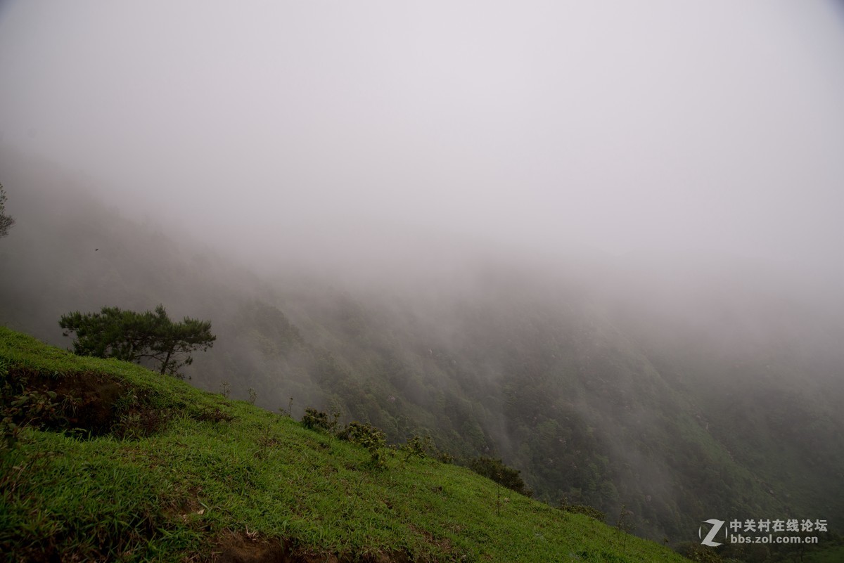 广东阳江阳春鸡笼顶森林公园登山2019501-2