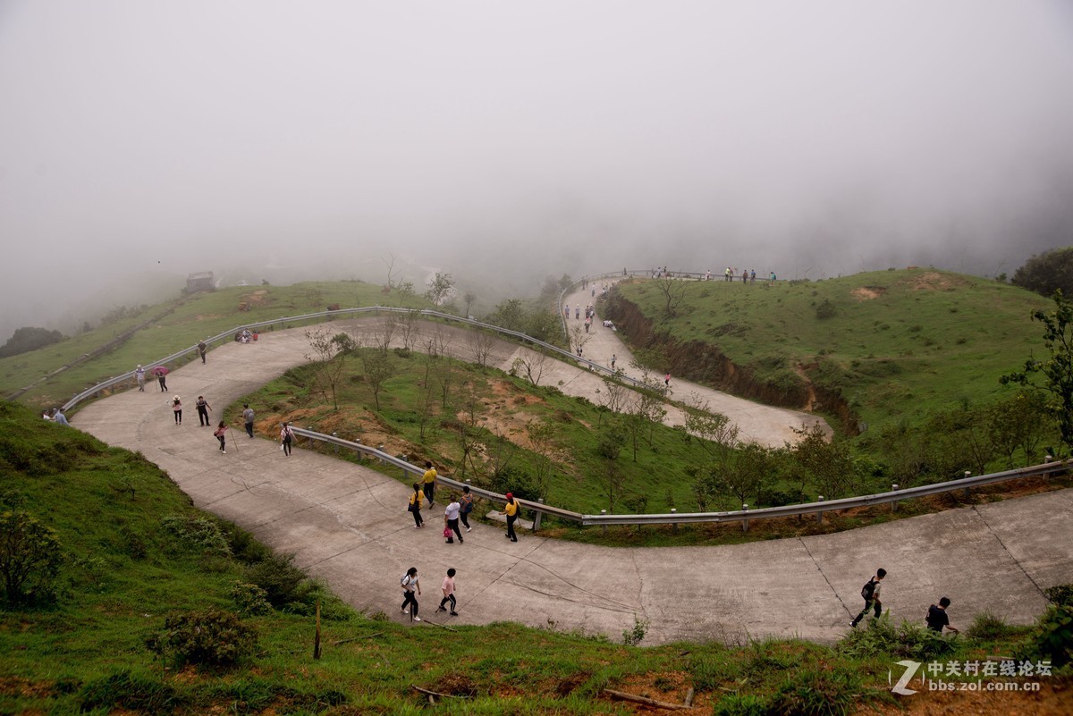 广东阳江阳春鸡笼顶森林公园登山2019501-2