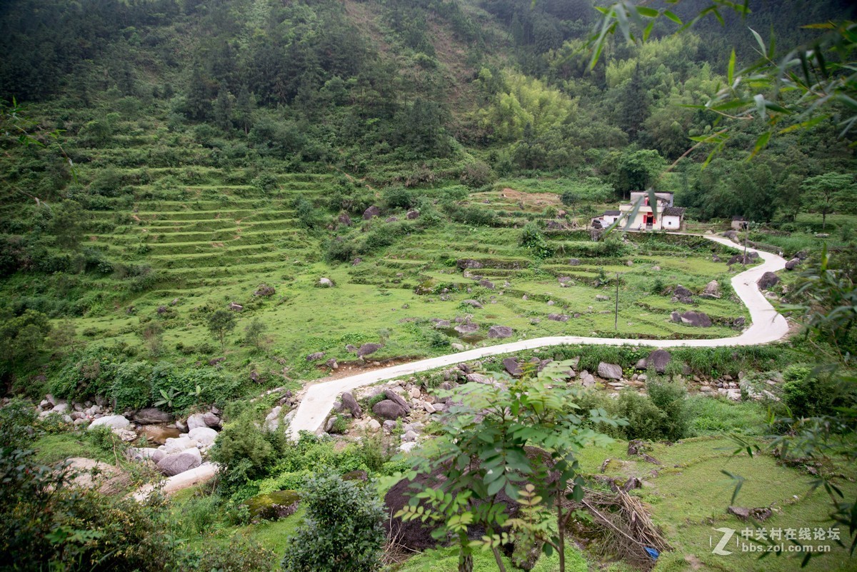 广东阳江阳春鸡笼顶森林公园登山2019501-2