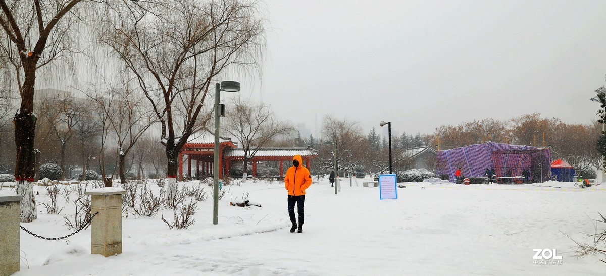 雪中拍景《4》