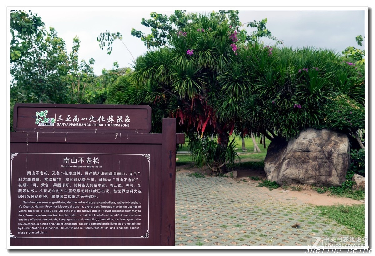 海南三亚南山寺
