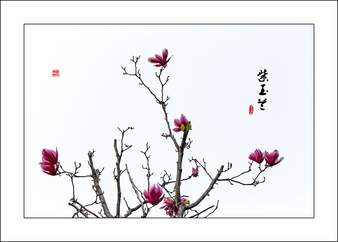 花语