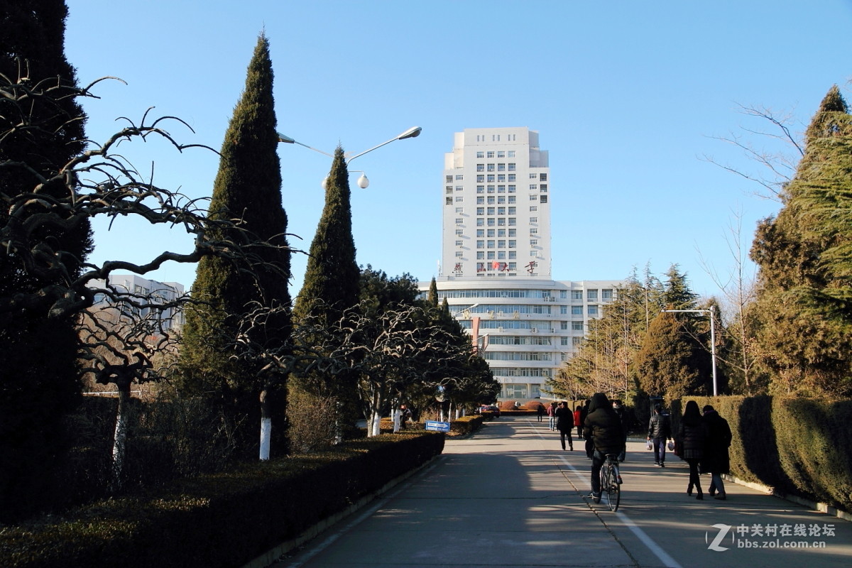 燕山大学校园随拍