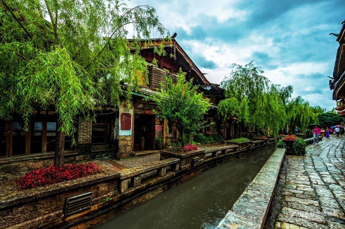 【西藏旅游 】〈 丽江古城〉风光风景记实拍摄 续