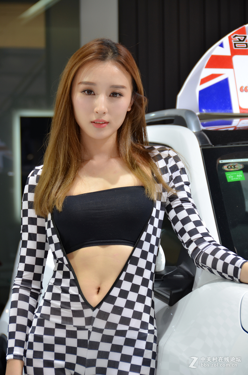 2015年唐山车展（2）