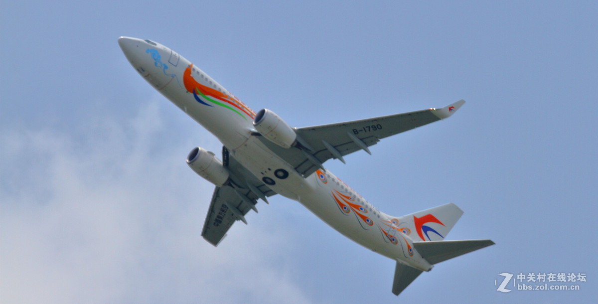 打不着鸟打飞机！