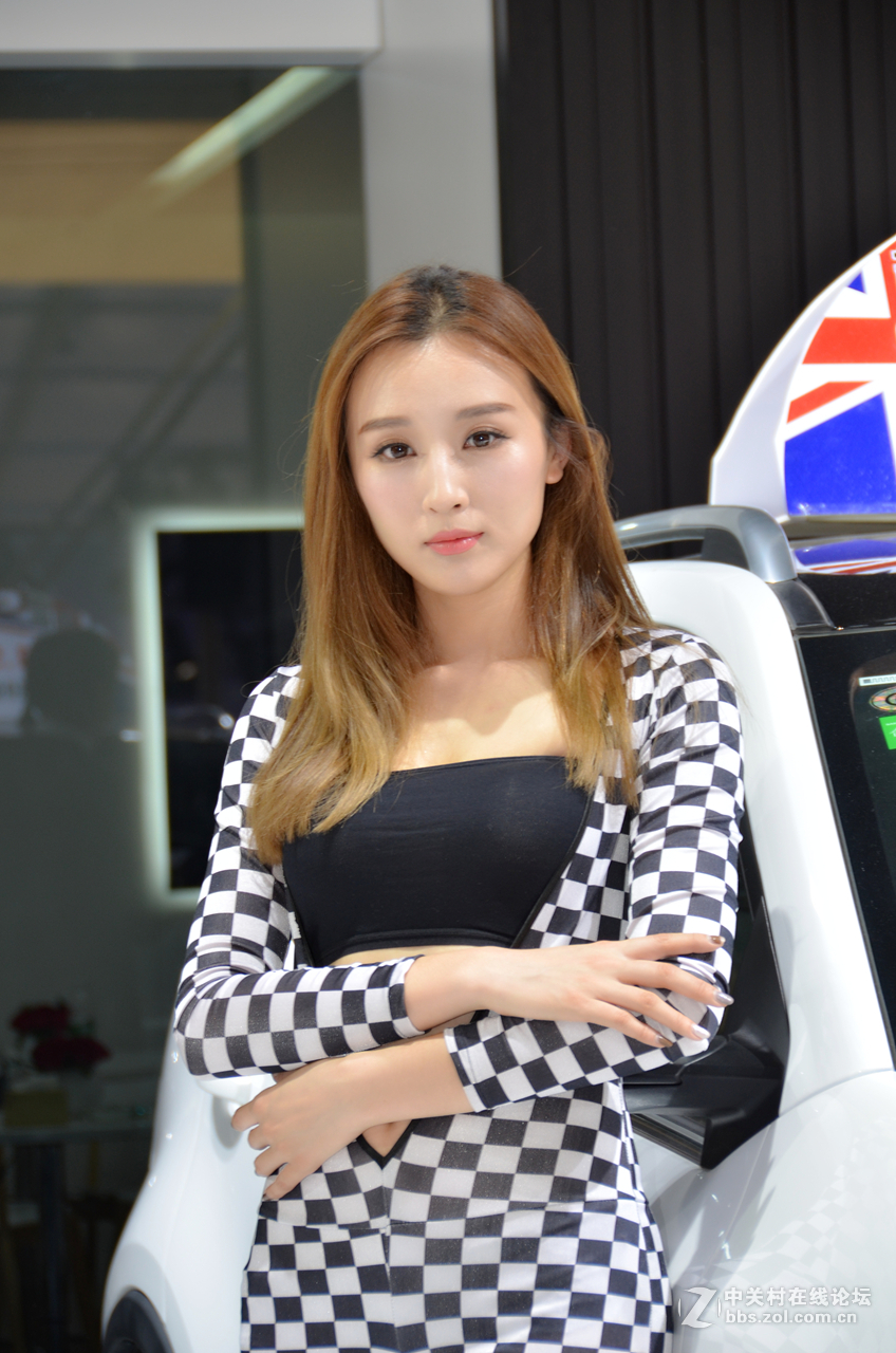 2015年唐山车展（2）