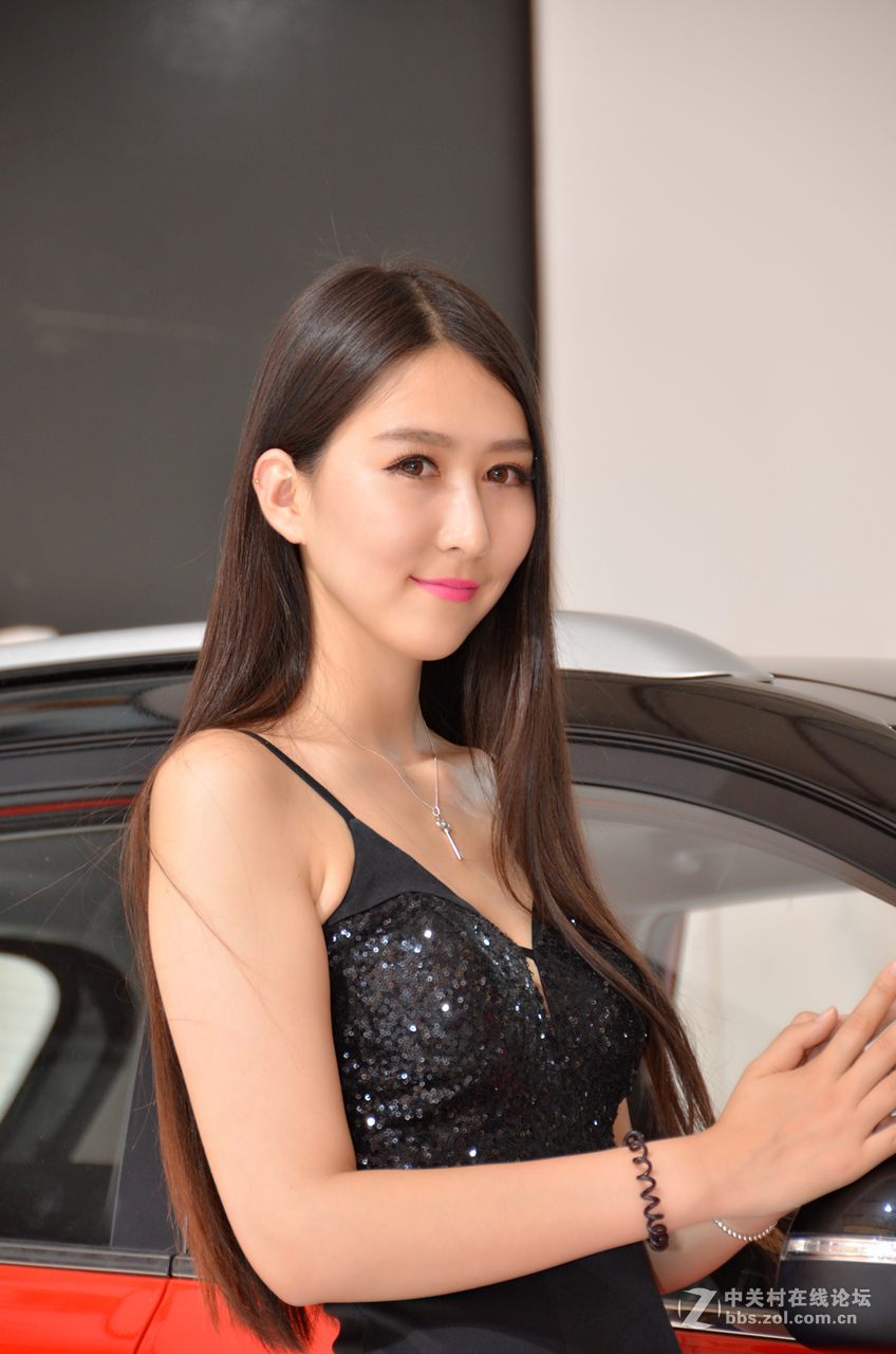 2015年唐山车展（2）