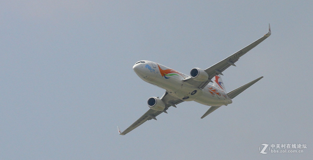 打不着鸟打飞机！