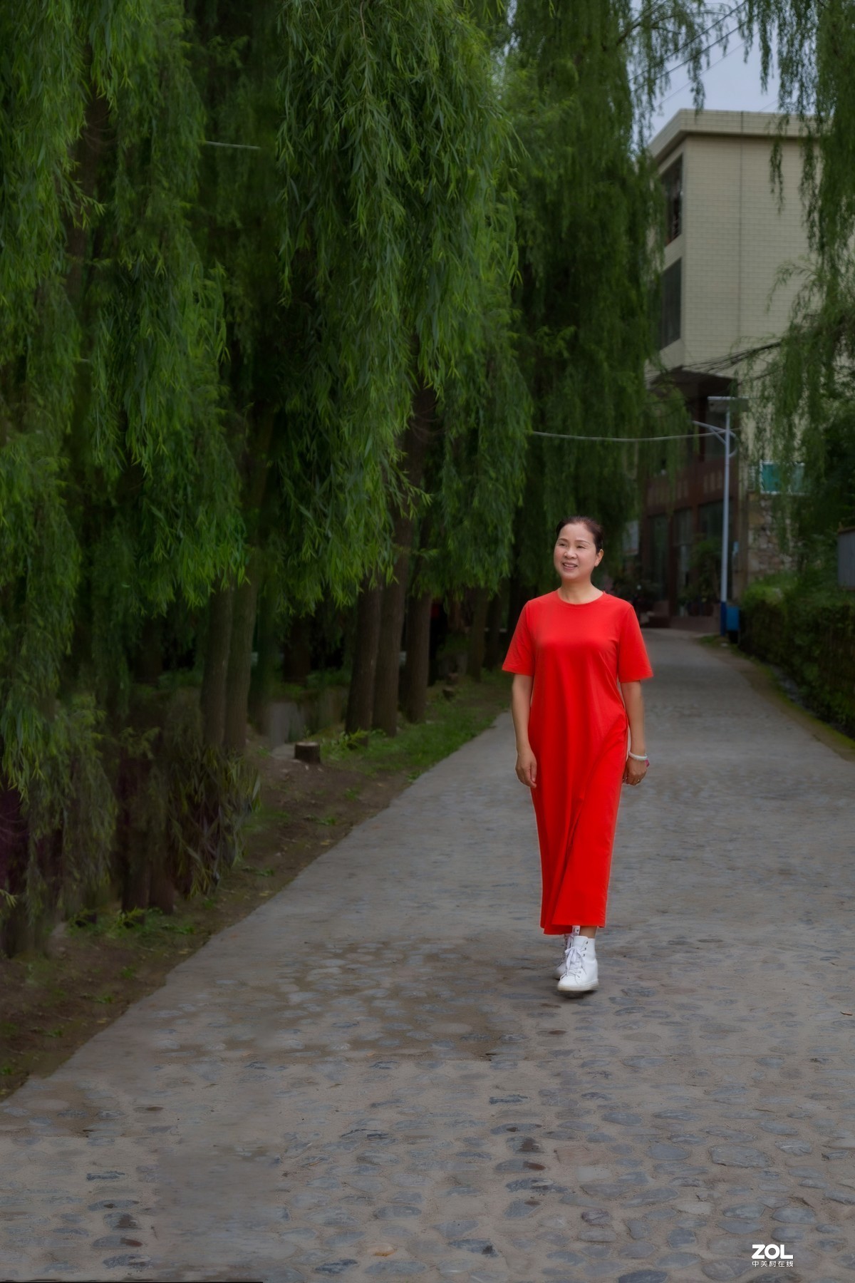 乡村林荫道上卖个萌