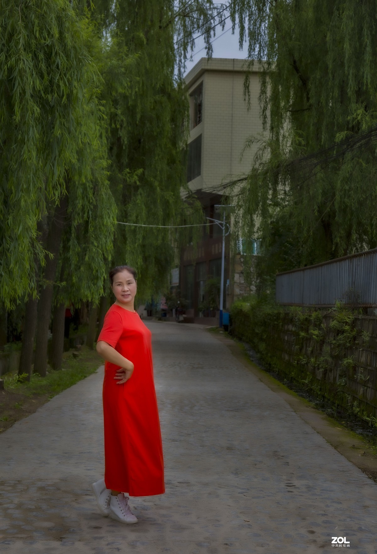 乡村林荫道上卖个萌