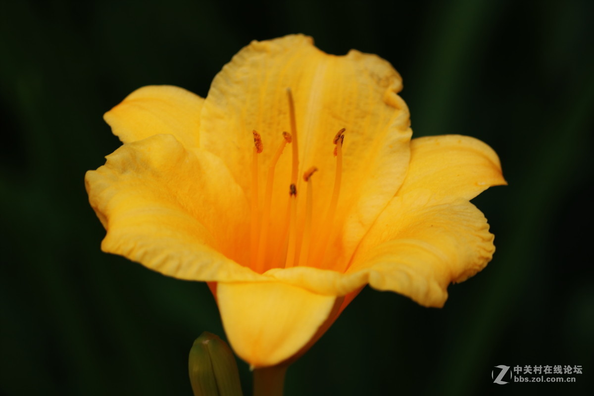 公园拍滴花花。。欢迎光临