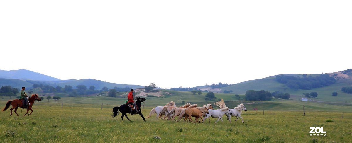 一 碧 无 垠 骏 马 翔