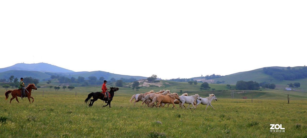 一 碧 无 垠 骏 马 翔