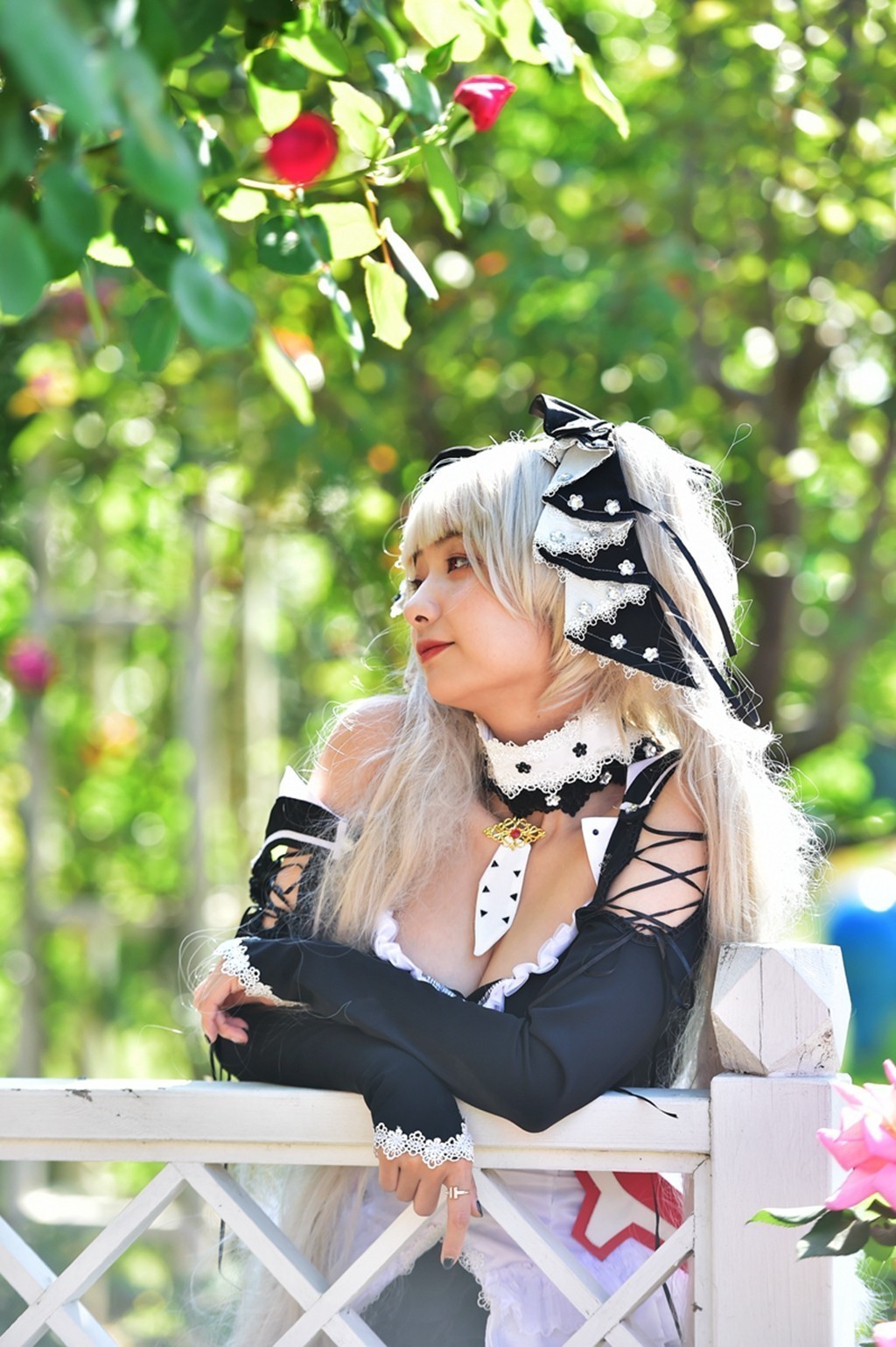 梦花源打卡之地