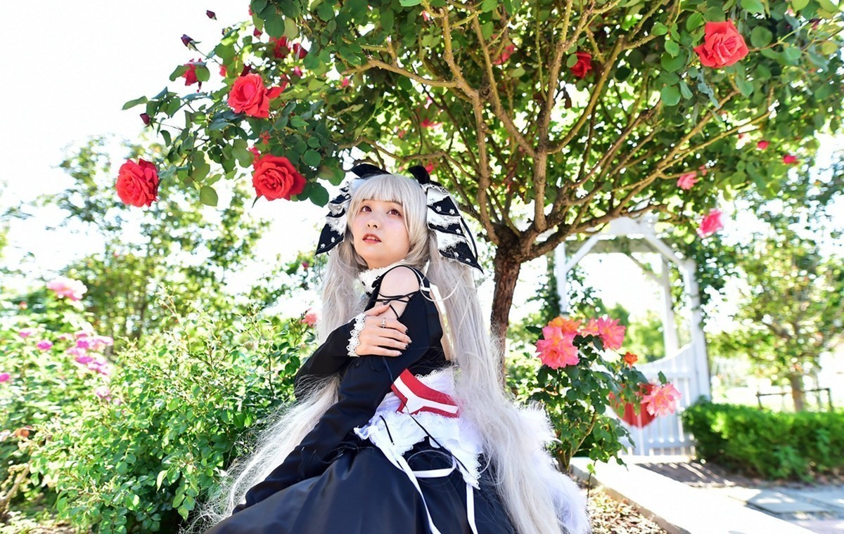 梦花源打卡之地