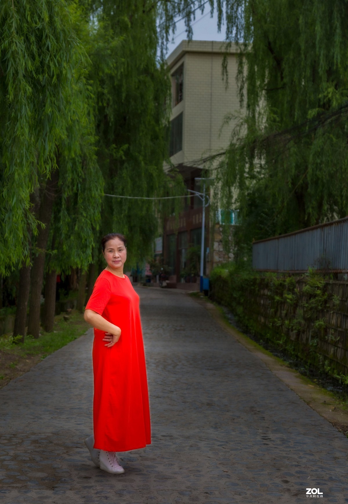 乡村林荫道上卖个萌